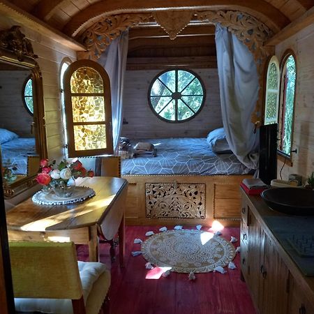 Saint-Rémy-de-Provence La Roulotte Du Petit Paradis מראה חיצוני תמונה