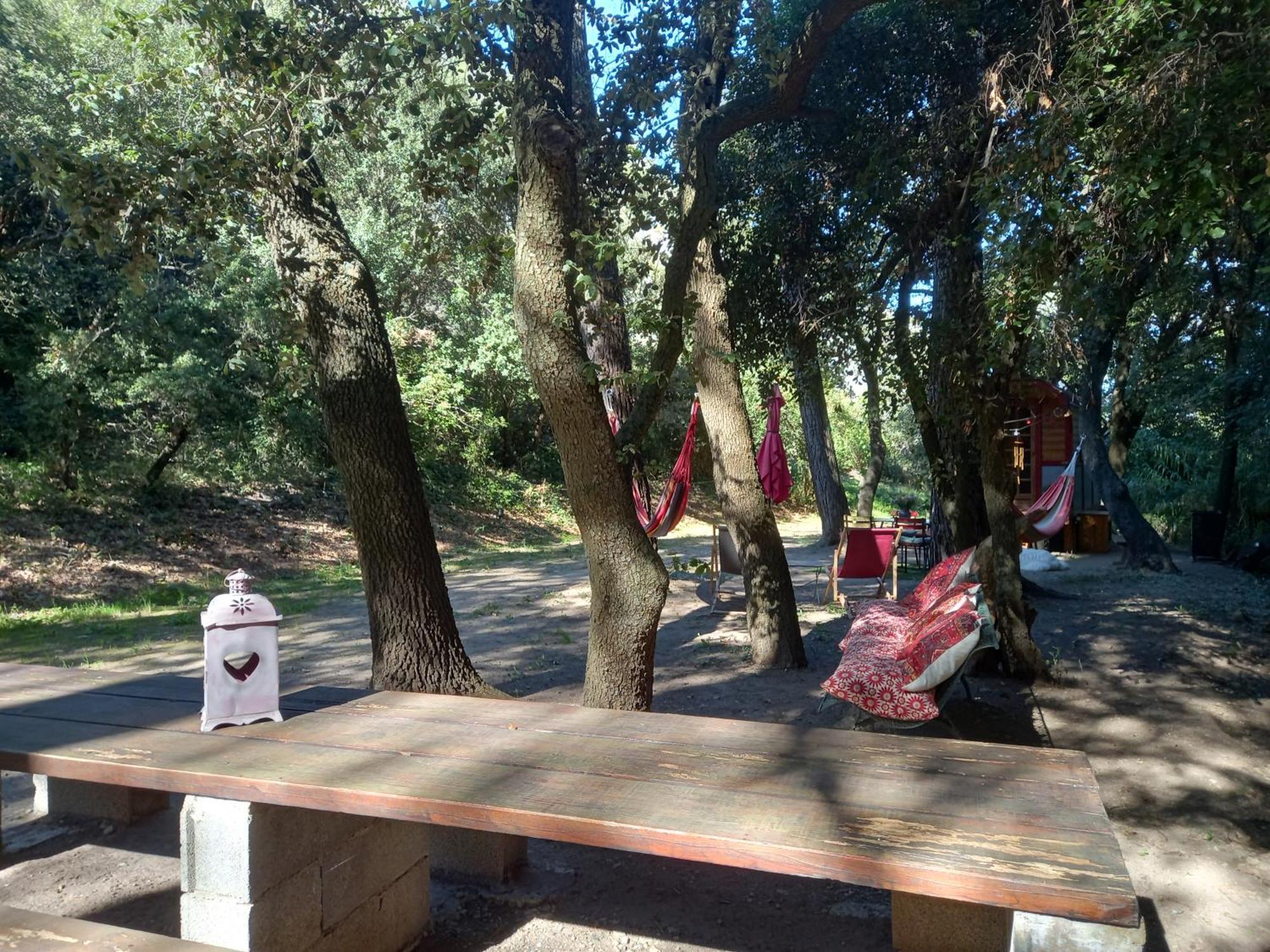 Saint-Rémy-de-Provence La Roulotte Du Petit Paradis מראה חיצוני תמונה