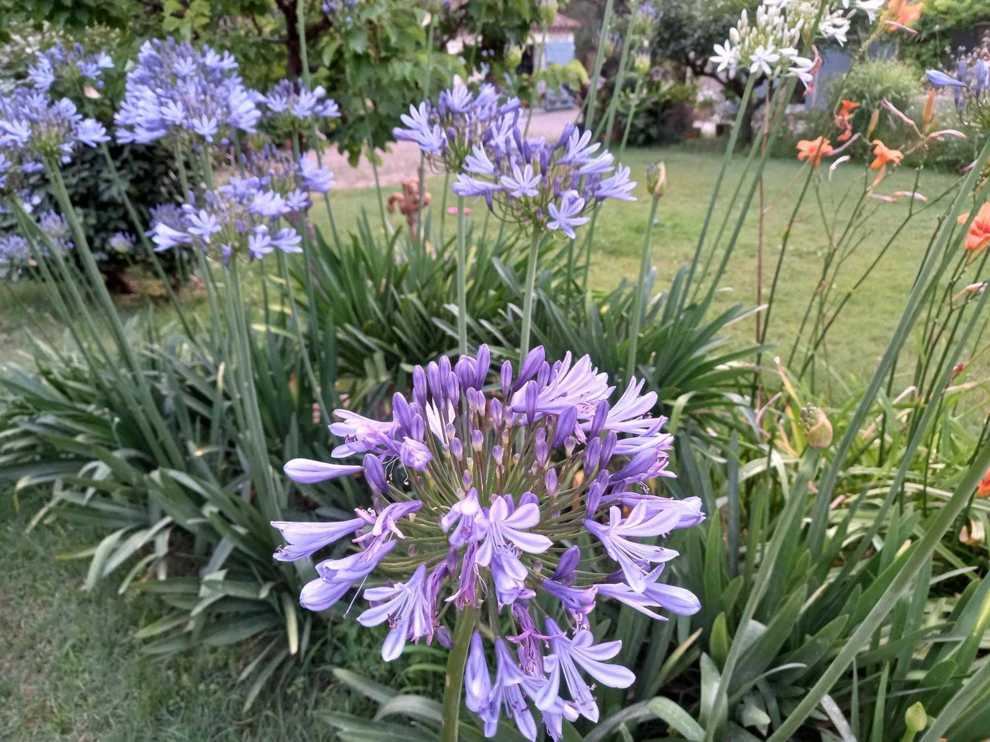 Saint-Rémy-de-Provence La Roulotte Du Petit Paradis מראה חיצוני תמונה