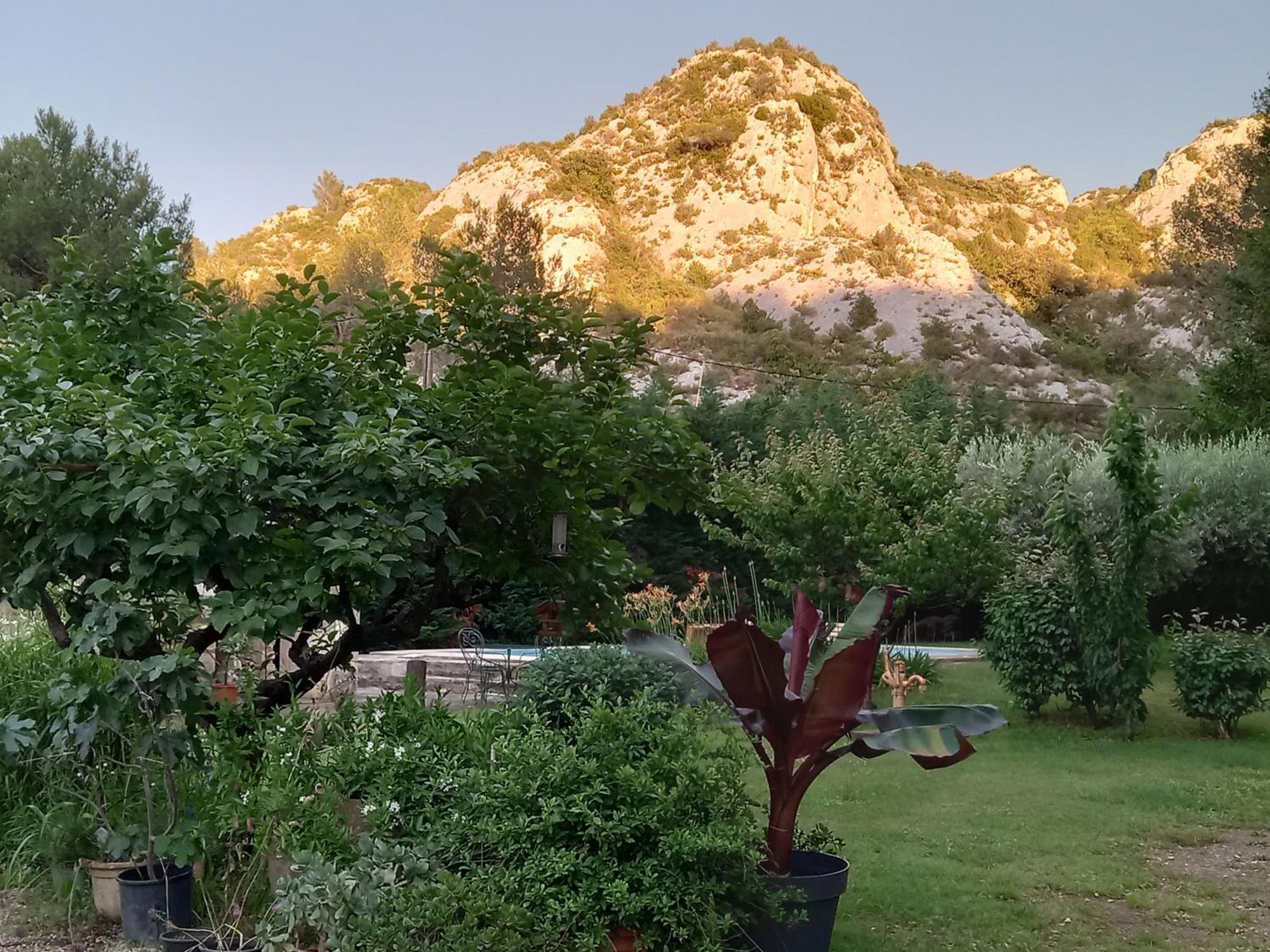 Saint-Rémy-de-Provence La Roulotte Du Petit Paradis מראה חיצוני תמונה