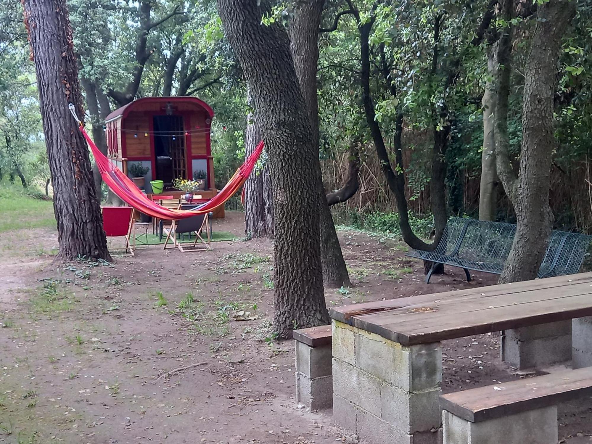Saint-Rémy-de-Provence La Roulotte Du Petit Paradis מראה חיצוני תמונה