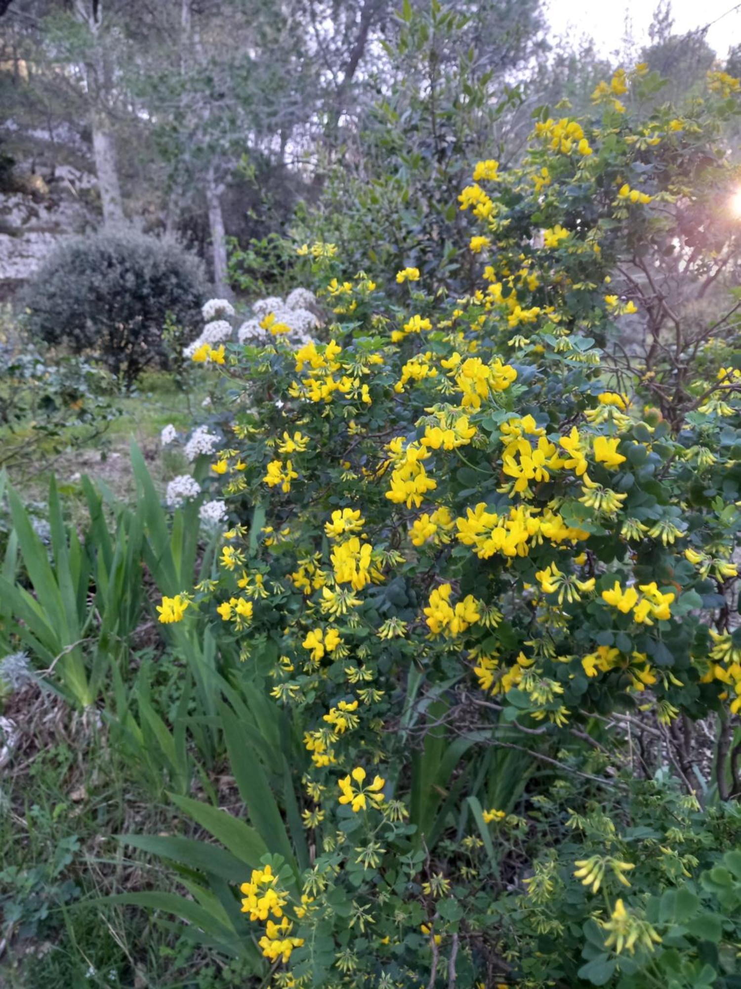 Saint-Rémy-de-Provence La Roulotte Du Petit Paradis מראה חיצוני תמונה
