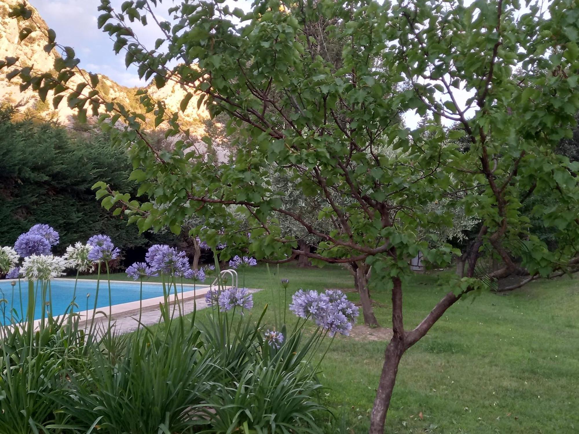 Saint-Rémy-de-Provence La Roulotte Du Petit Paradis מראה חיצוני תמונה